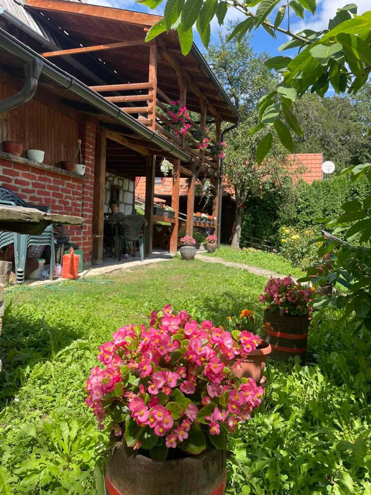 Dedina Kuca 1937 Apartment Mokra Gora Luaran gambar